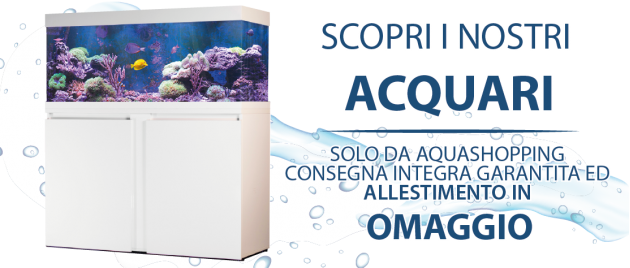 4 - Acquari
